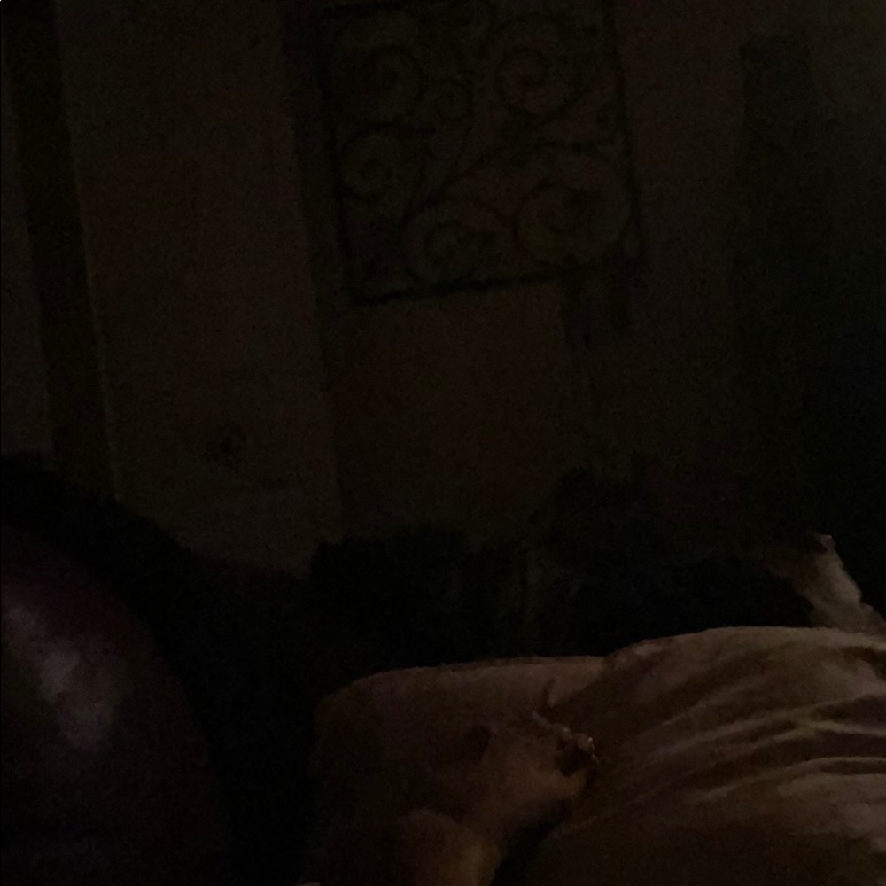 Meet your Posher, Carmen